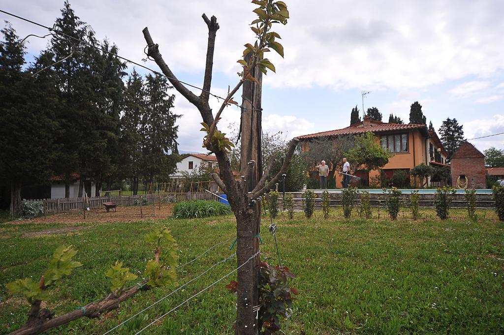 Artenatura Beb Terranuova Bracciolini Dış mekan fotoğraf