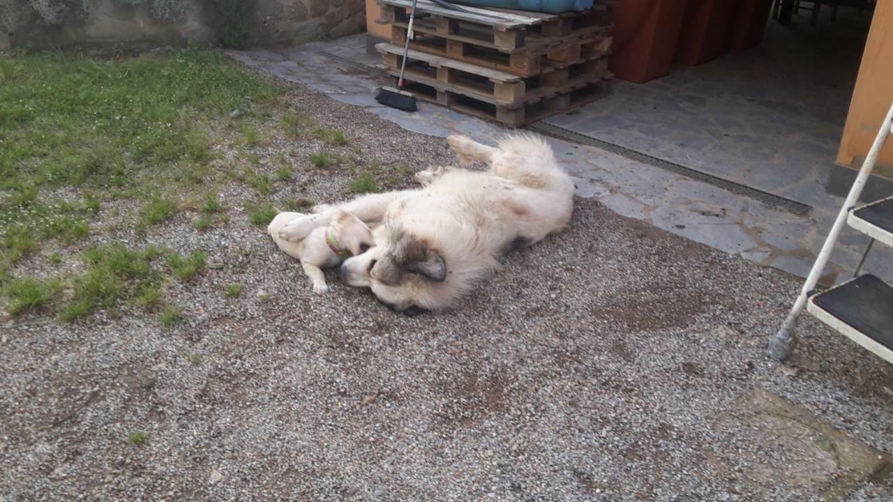 Artenatura Beb Terranuova Bracciolini Dış mekan fotoğraf