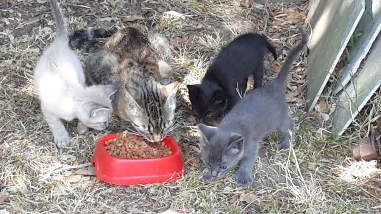 Artenatura Beb Terranuova Bracciolini Dış mekan fotoğraf